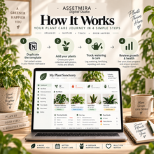 How to use the Notion Plant Care Tracker to organize plants, log care and review growth