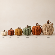 Six crochet pumpkin sizes displayed from smallest to largest